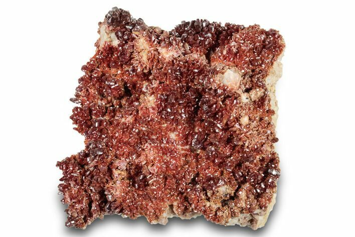 Glittering, Ruby Red Vanadinite Crystals on Barite - Morocco #278236